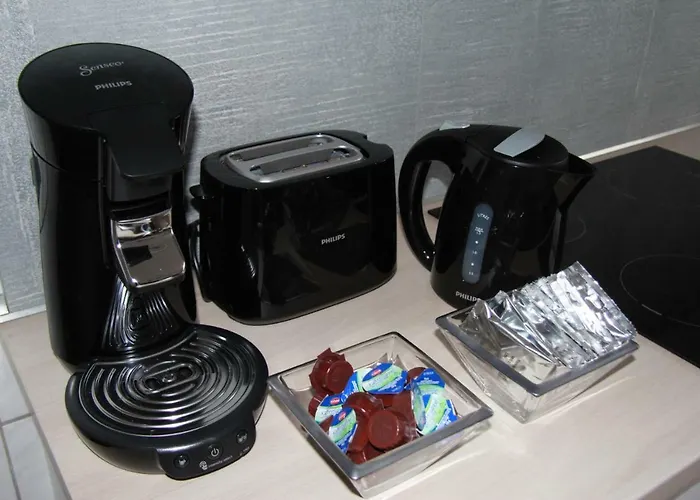 公寓 Geraeumige 4 An Den Kaiserthermen *